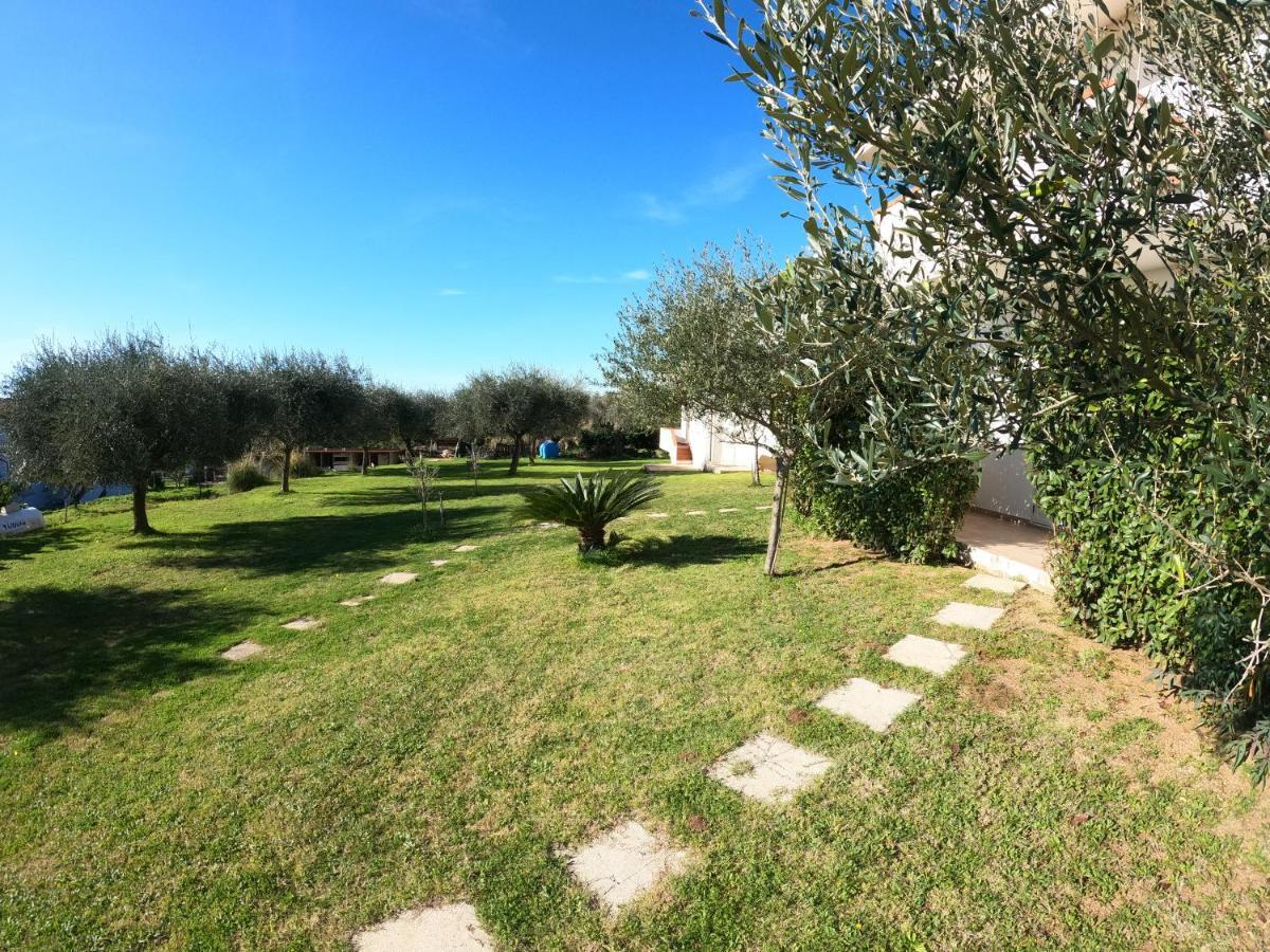 Agriturismo Seaview Capo Vaticano Exterior photo