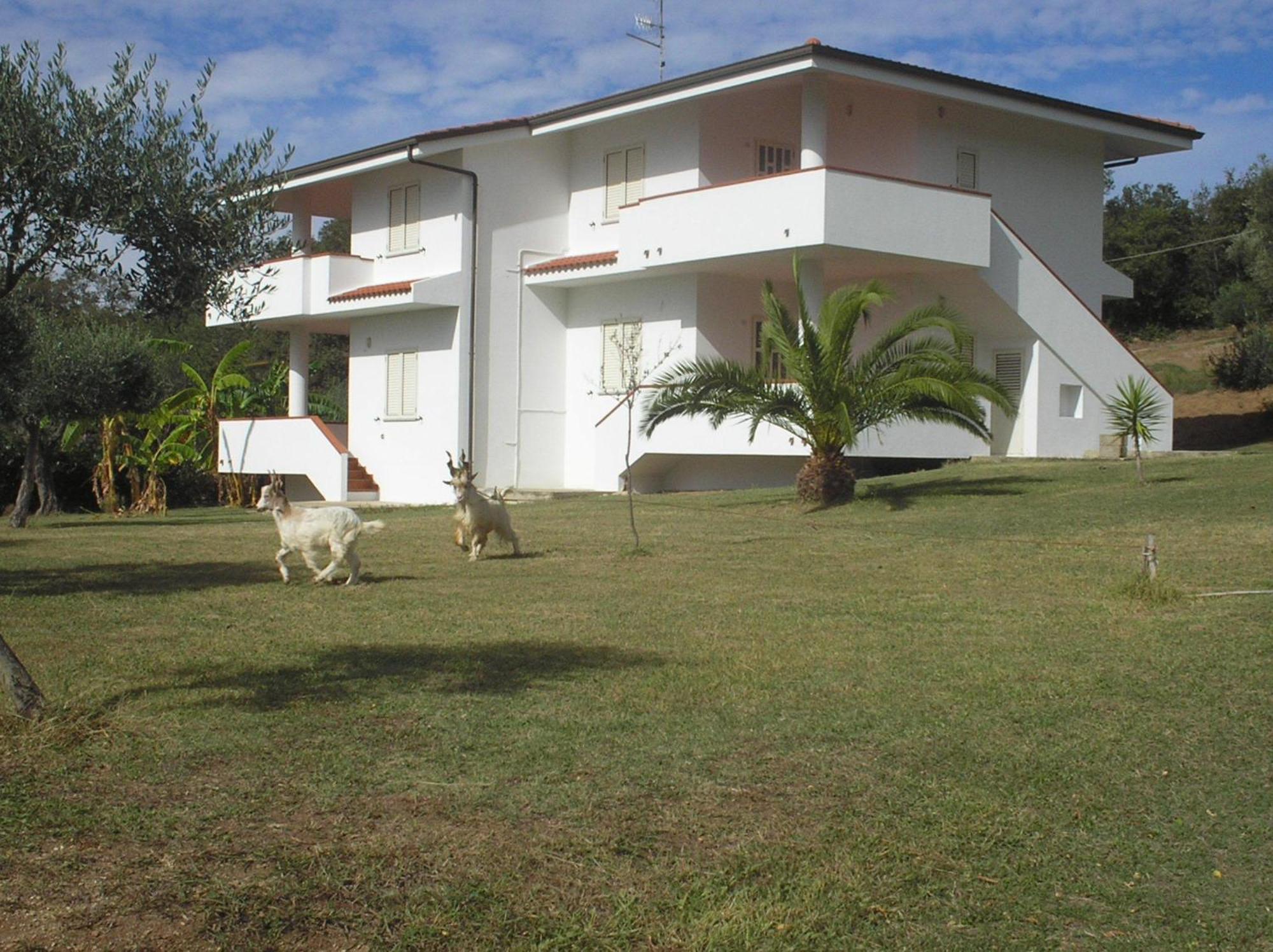 Agriturismo Seaview Capo Vaticano Exterior photo